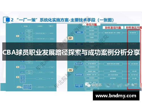 CBA球员职业发展路径探索与成功案例分析分享