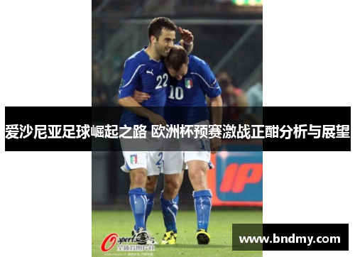 爱沙尼亚足球崛起之路 欧洲杯预赛激战正酣分析与展望