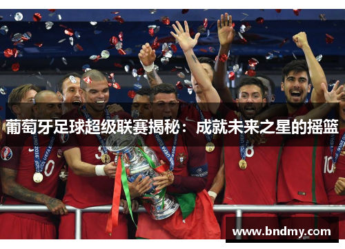 葡萄牙足球超级联赛揭秘：成就未来之星的摇篮