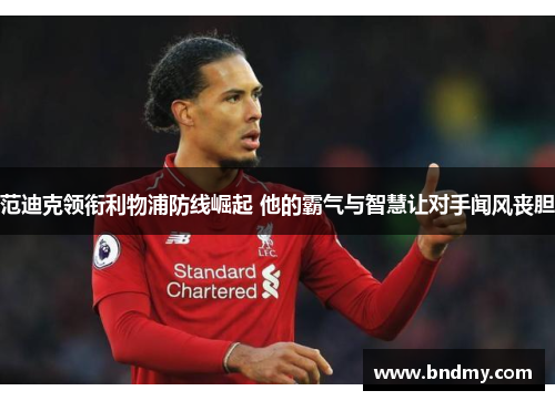 范迪克领衔利物浦防线崛起 他的霸气与智慧让对手闻风丧胆